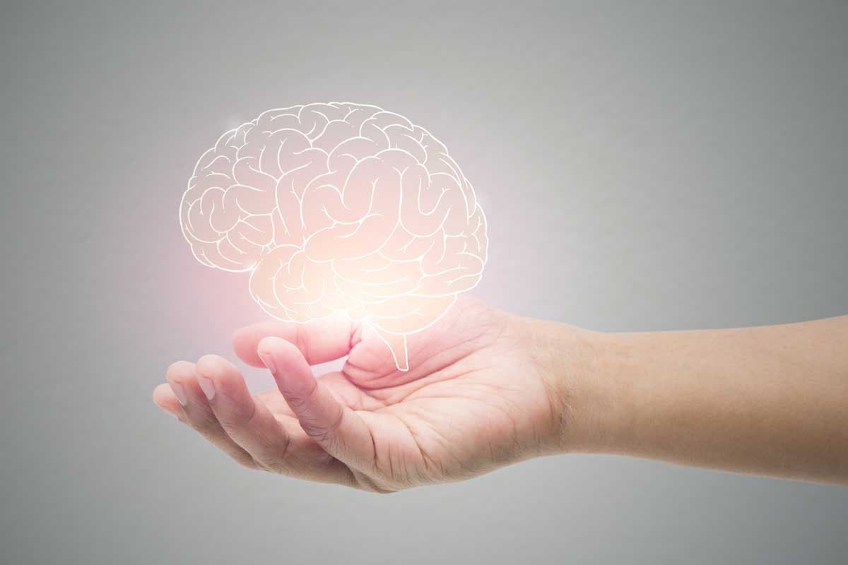 Los cerebros digitales