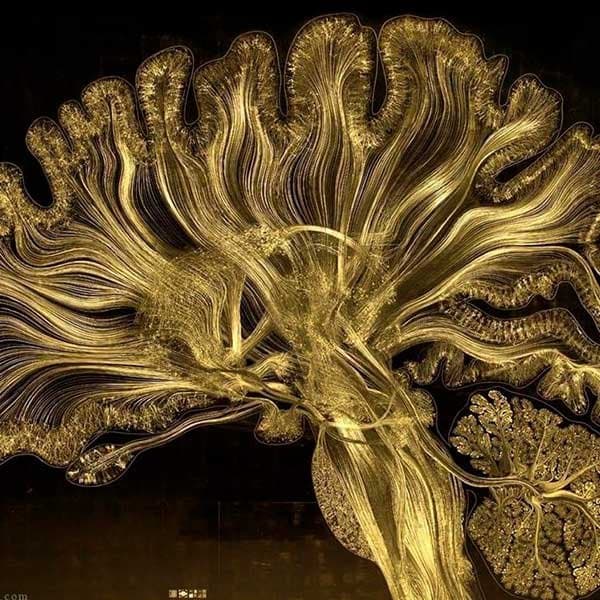 Neuromarketing